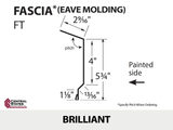 Eave Molding 10'2" - Fascia - 29 ga.