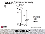 Eave Molding 10'2" - Fascia - 29 ga.