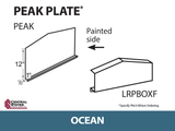 Peak Plate